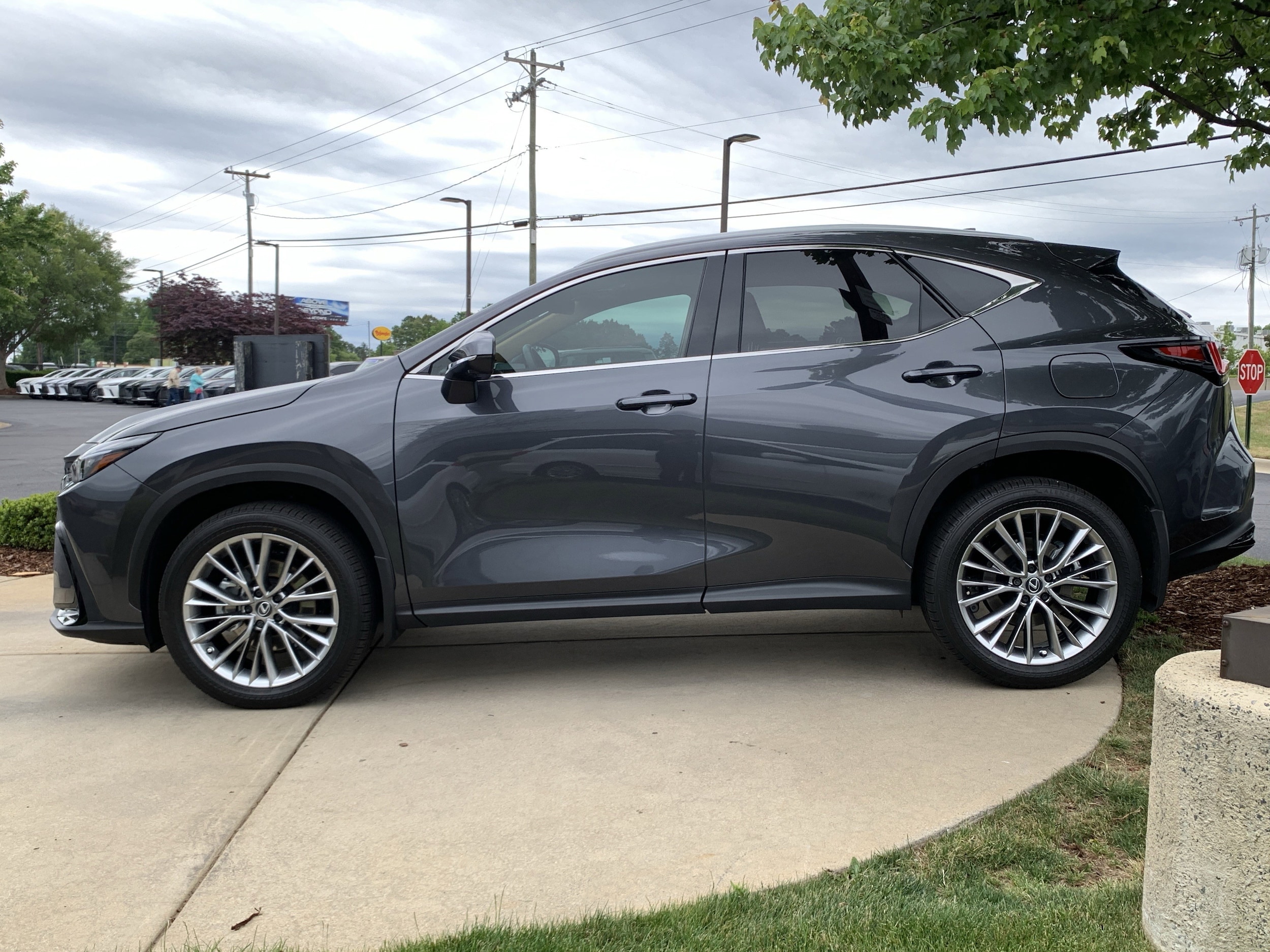 2025 LEXUS NX 350 Premium photo 4