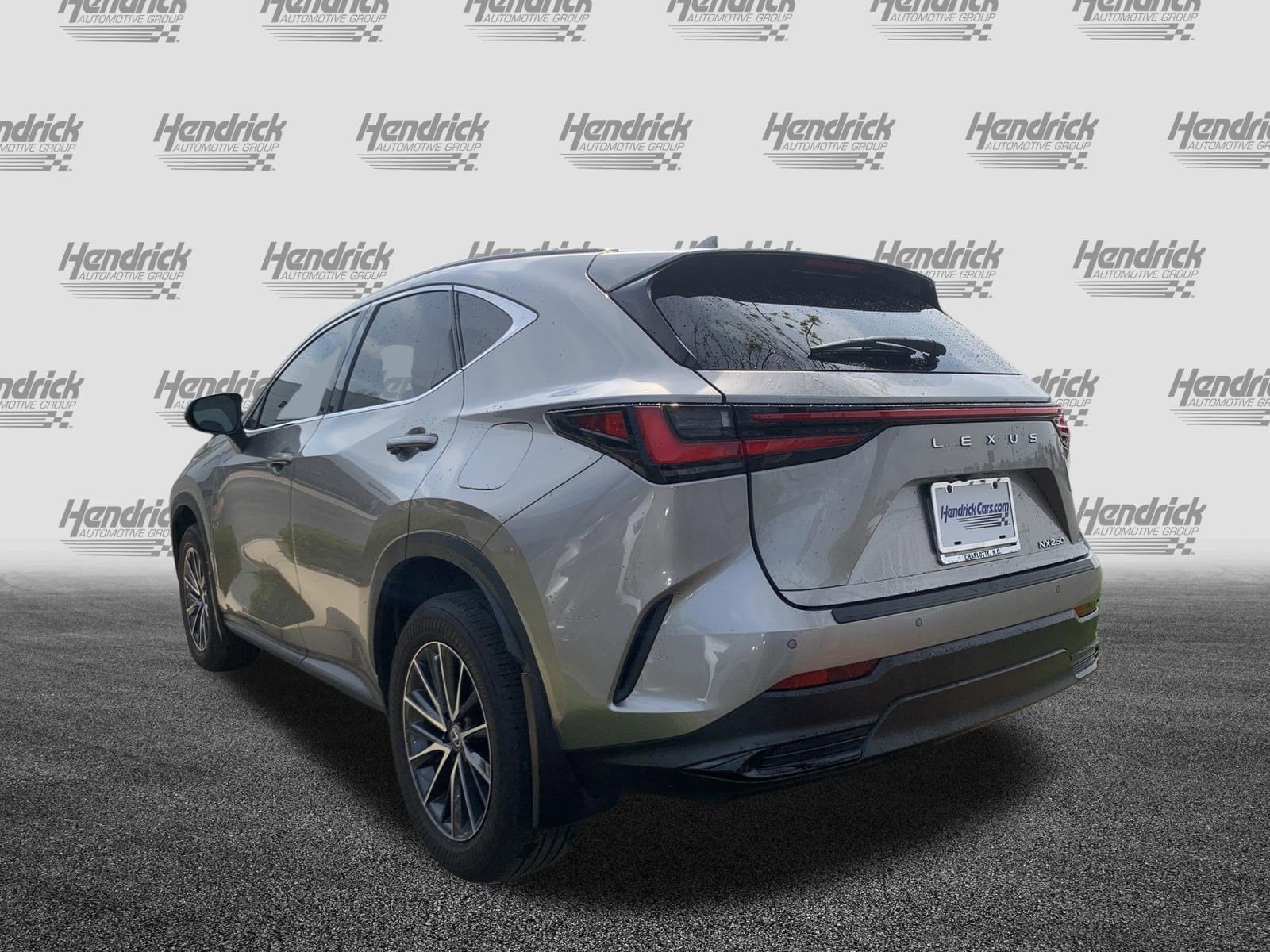 2024 LEXUS NX 250 Premium photo 5