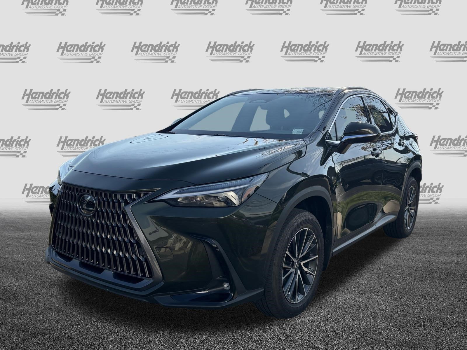 2024 LEXUS NX 250 Premium photo 2