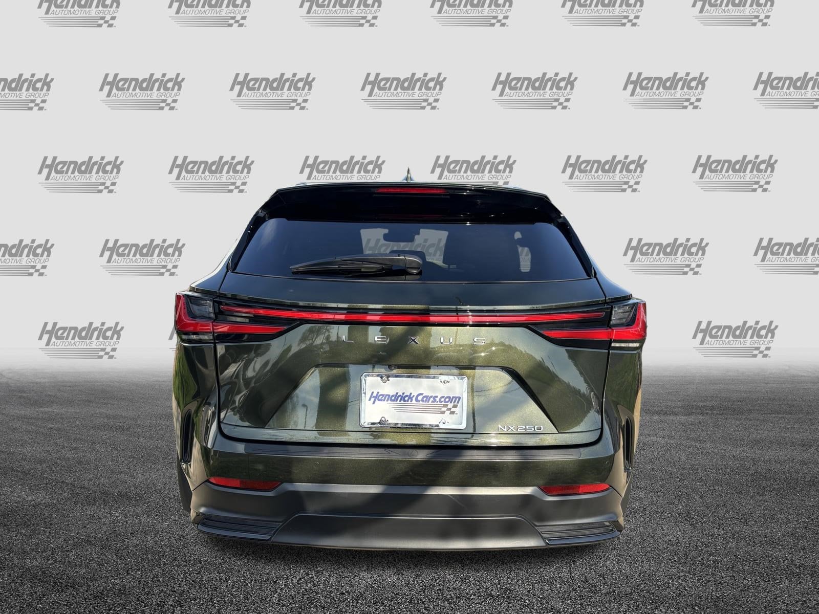 2024 LEXUS NX 250 Premium photo 6