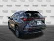 2025 LEXUS NX 250 Premium SUV