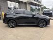 2024 LEXUS NX NX 350 SUV