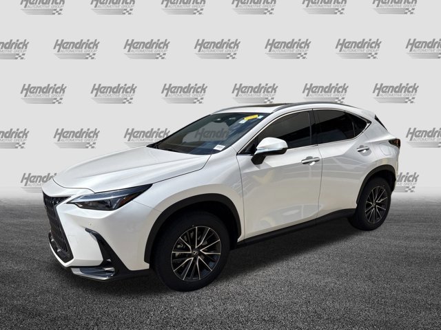 2024 Lexus NX 350 Premium photo 3