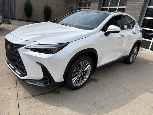 2025 Lexus NX 350 Luxury AWD photo 3