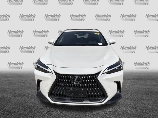 2024 LEXUS NX 350h AWD photo 2