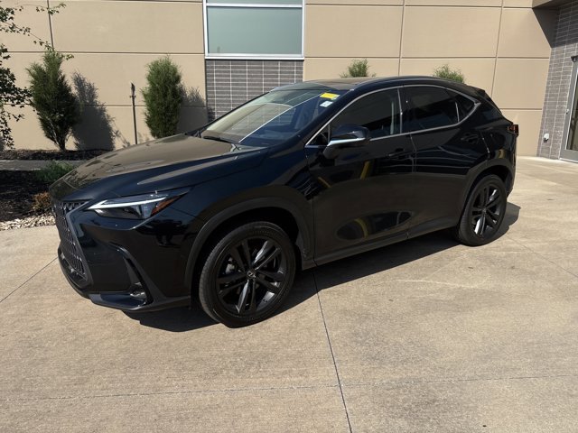 2025 Lexus NX Luxury photo 3