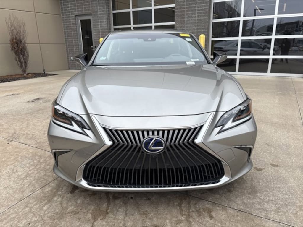 Used 2019 Lexus ES ES 300h Luxury Sedan