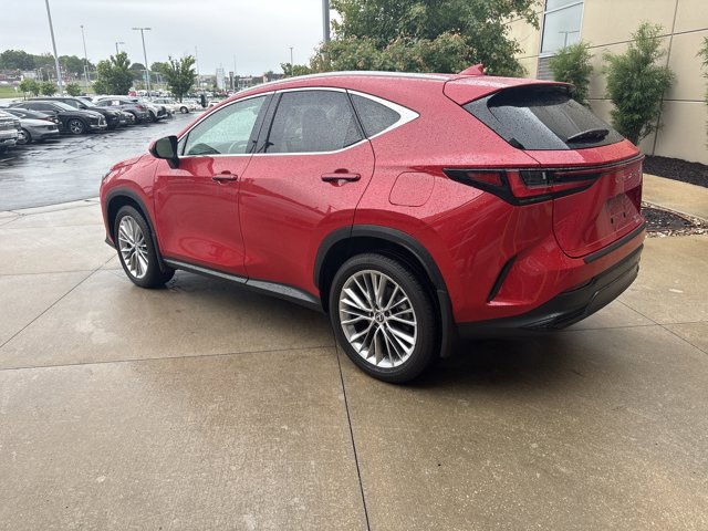 2025 LEXUS NX NX 350 Luxury photo 6