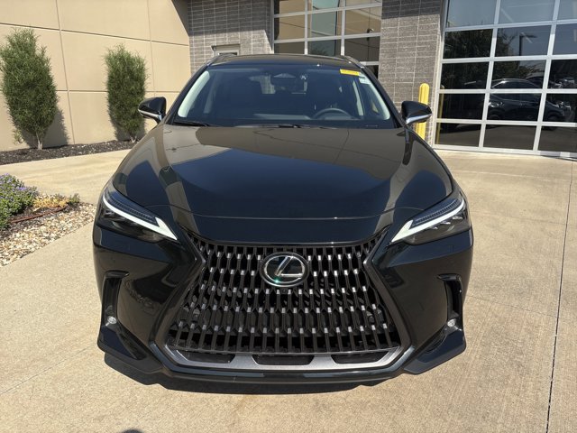 2025 Lexus NX Luxury photo 2