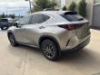 2025 LEXUS NX NX 250 Premium SUV