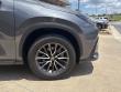 2024 LEXUS NX NX 250 SUV