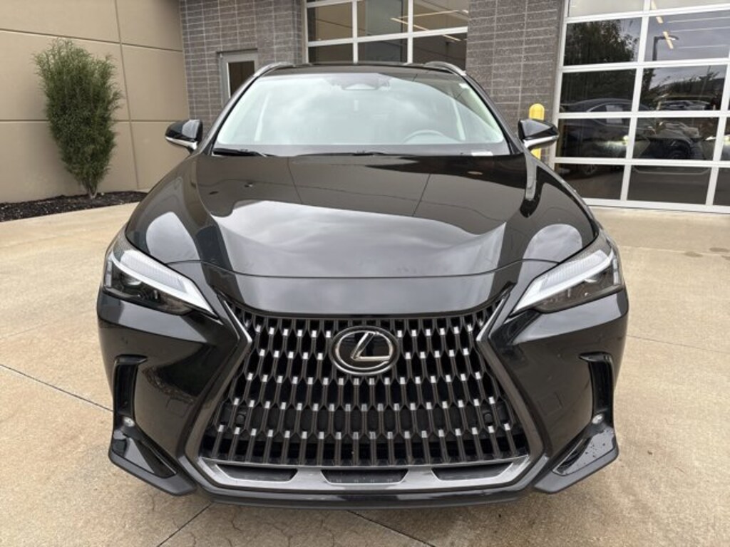 Used 2025 Lexus NX NX 350 SUV