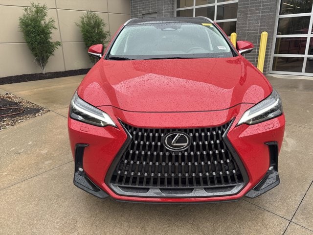 2025 LEXUS NX NX 350 Luxury photo 2