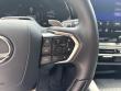 2025 LEXUS RX RX 350 Premium SUV