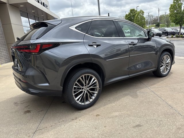 2023 LEXUS NX NX 350h Luxury photo 3