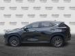 2023 LEXUS NX NX 350 Premium SUV