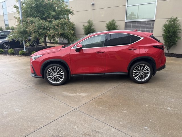 2025 LEXUS NX NX 350 Luxury photo 5