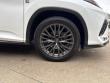 2022 LEXUS RX RX 350 F SPORT Appearance SUV