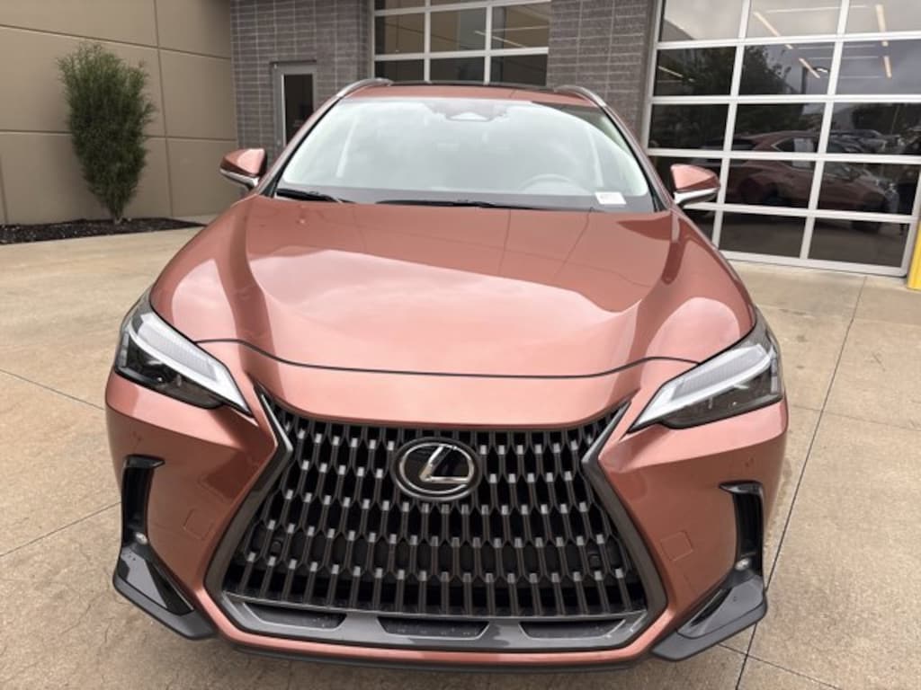 Used 2025 Lexus NX NX 350 SUV