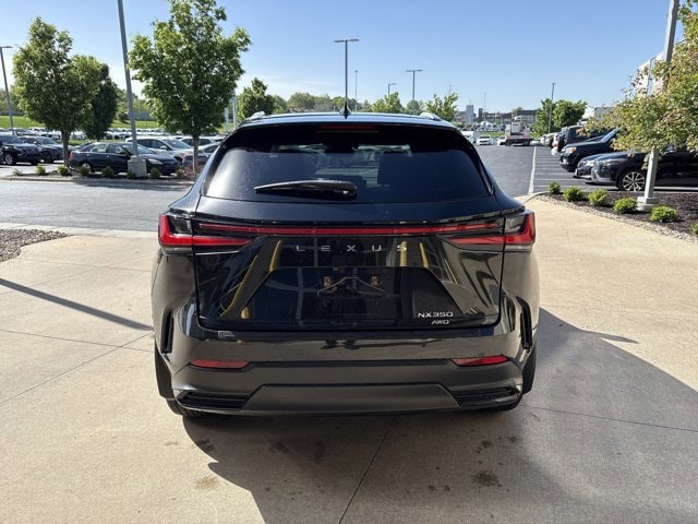 2024 LEXUS NX NX 350 Premium photo 6