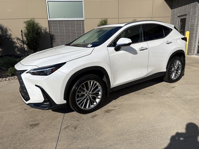 2025 Lexus NX 350 Premium photo 4