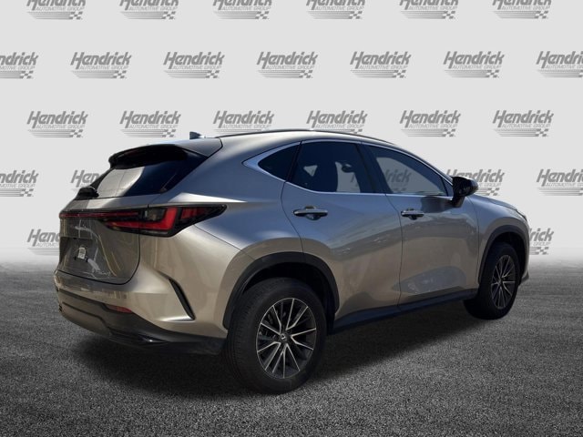 2025 LEXUS NX NX 250 Premium photo 3