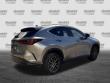 2025 LEXUS NX NX 250 Premium SUV