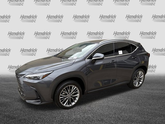 2026 Lexus NX 350h Premium photo 3