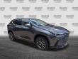 2024 LEXUS NX NX 250 SUV