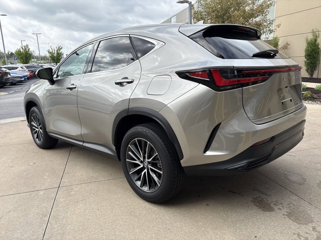 2024 LEXUS NX 250 photo 6