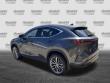 2023 LEXUS NX 350 LUXURY AWD SUV