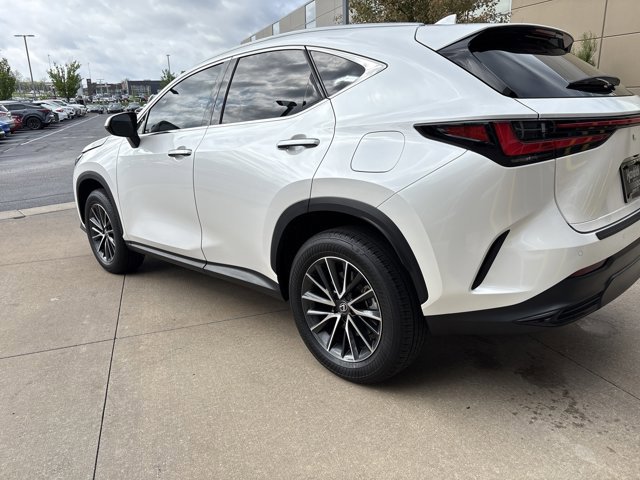 2025 LEXUS NX NX 350 Premium photo 5
