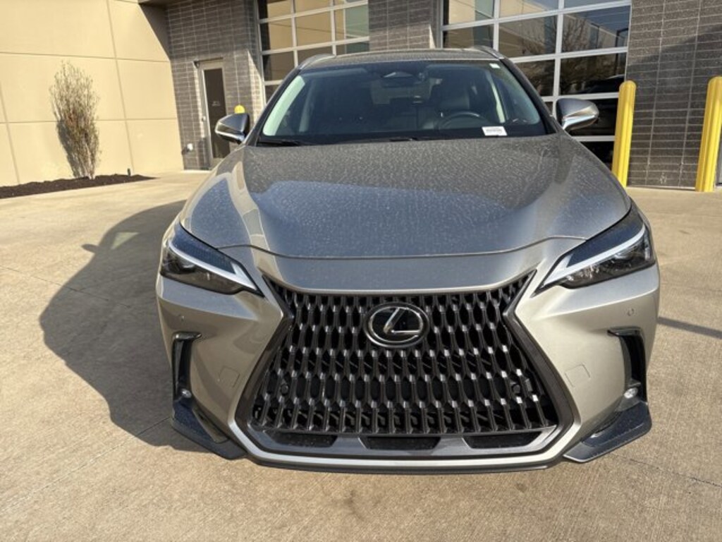 Used 2025 Lexus NX NX 350 SUV