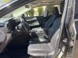 2025 LEXUS NX NX 350 SUV
