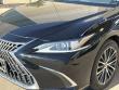 2023 LEXUS ES ES 350 Sedan