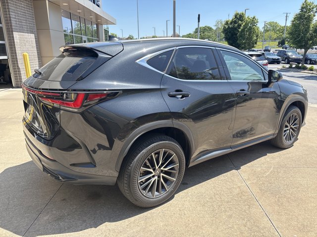 2023 LEXUS NX NX 350 Premium photo 3