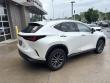 2024 LEXUS NX 350 PREMIUM SUV
