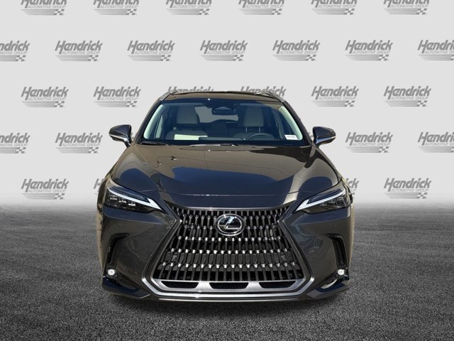 2026 Lexus NX 350h Luxury AWD photo 2