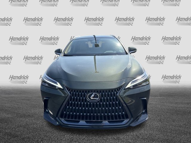 2025 Lexus NX 350 Luxury AWD photo 3