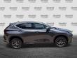 2024 LEXUS NX NX 250 SUV