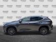 2024 LEXUS NX NX 250 SUV