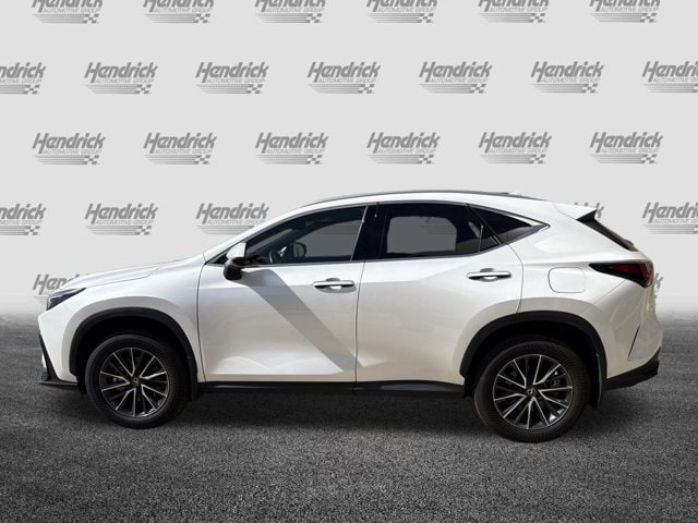 2024 LEXUS NX 350h AWD photo 5