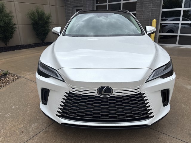 2025 Lexus RX 350h Luxury photo 3