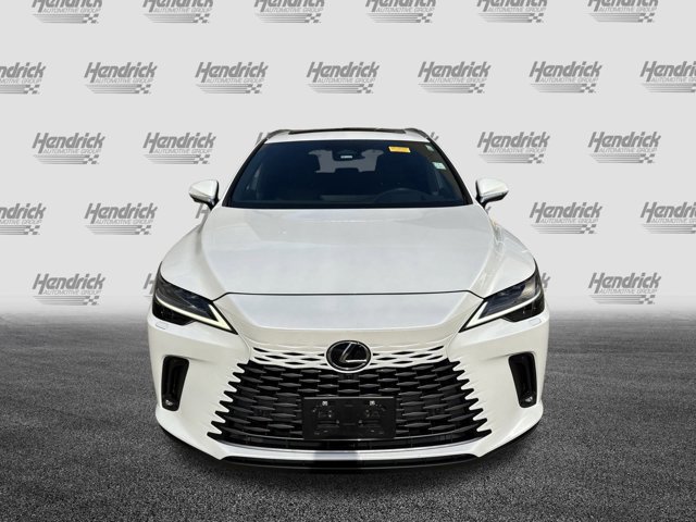 2023 Lexus RX 350 Luxury photo 3