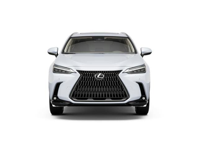 2026 Lexus NX 350h Luxury AWD photo 2