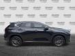 2023 LEXUS NX NX 350 Premium SUV