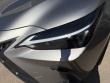 2025 LEXUS NX NX 250 Premium SUV