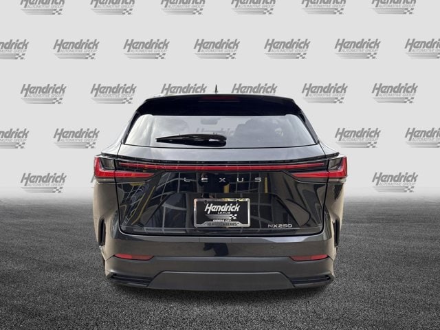 2024 LEXUS NX NX 250 Premium photo 6