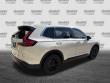 2025 Honda CR-V EX-L SUV