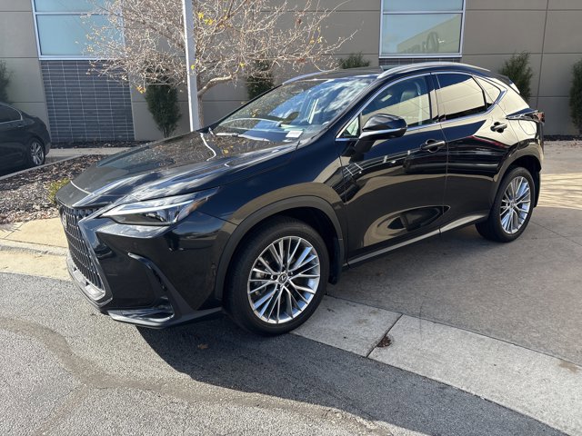 2025 Lexus NX 350 Luxury photo 2
